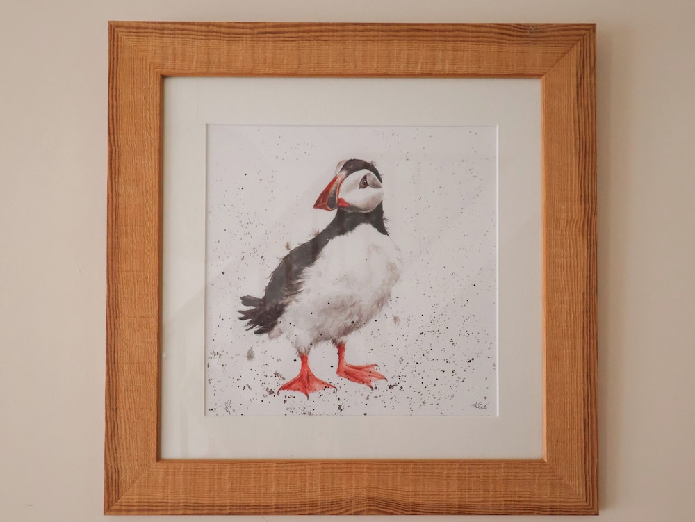 Puffins