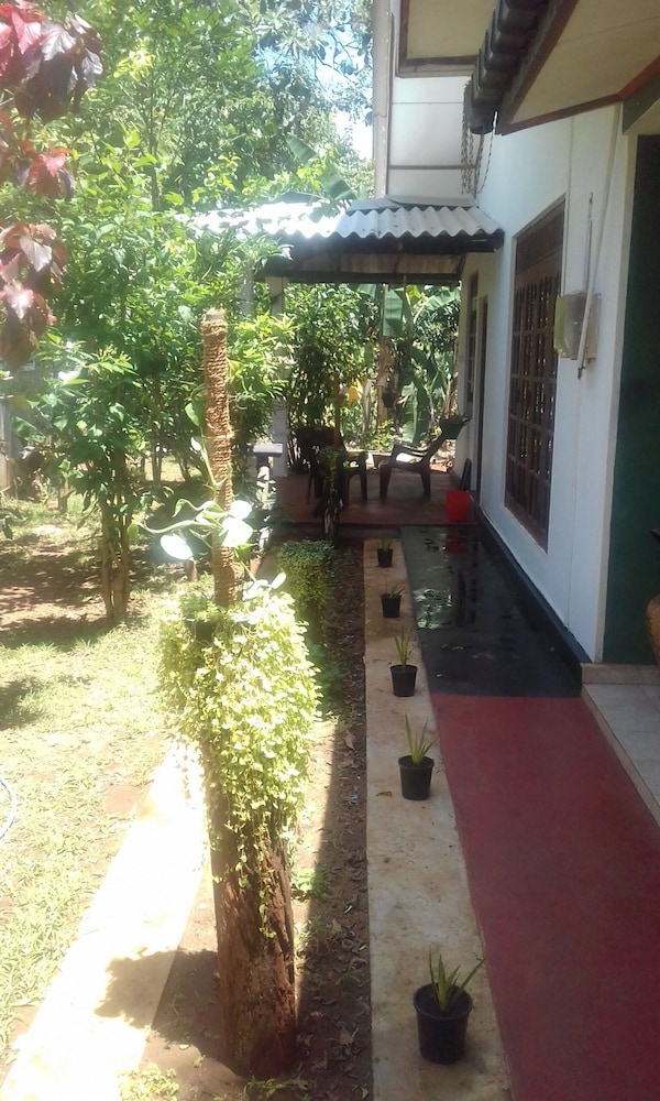 Elephant Safari Lodge
