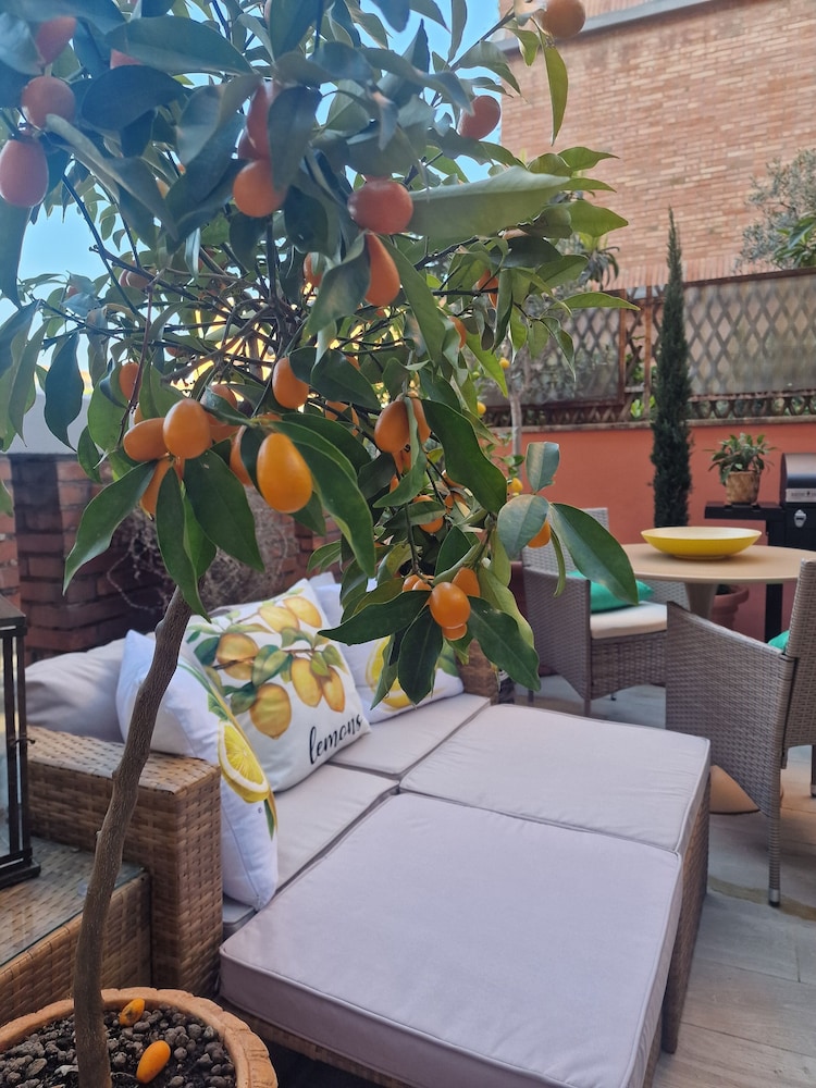 Vaticano 13 guesthouse