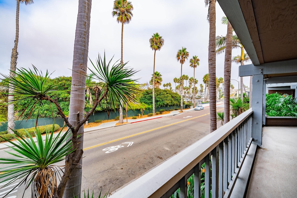 Luxury Oceanfront Condo With Private Beach Access