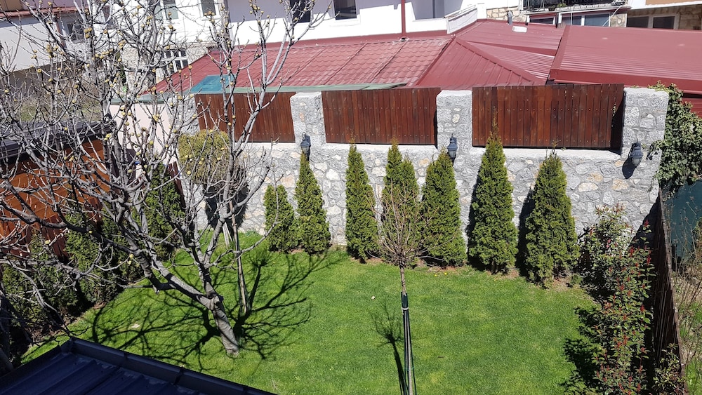 Photo 24