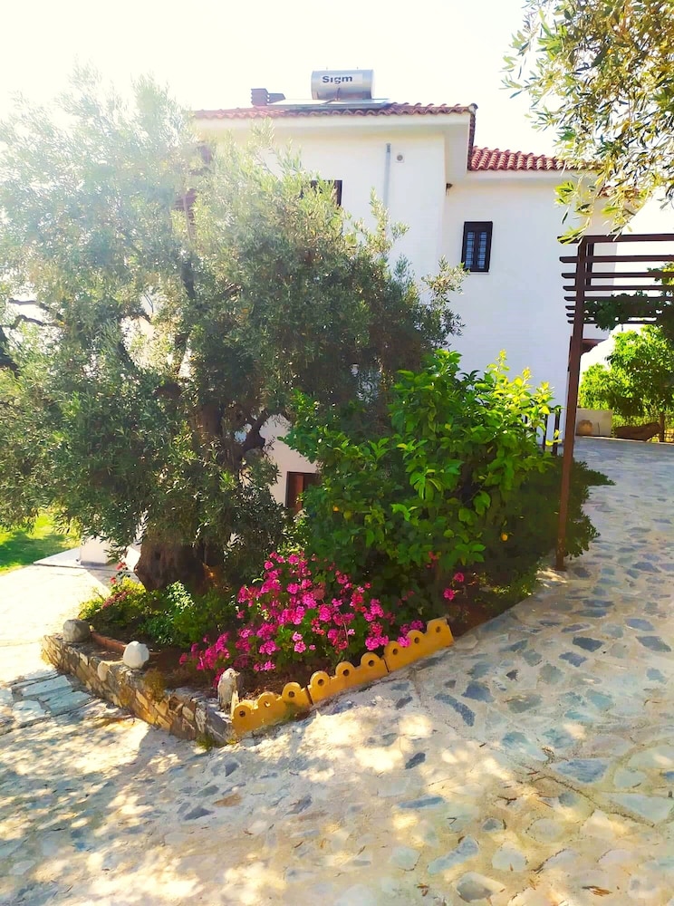 Photo 13