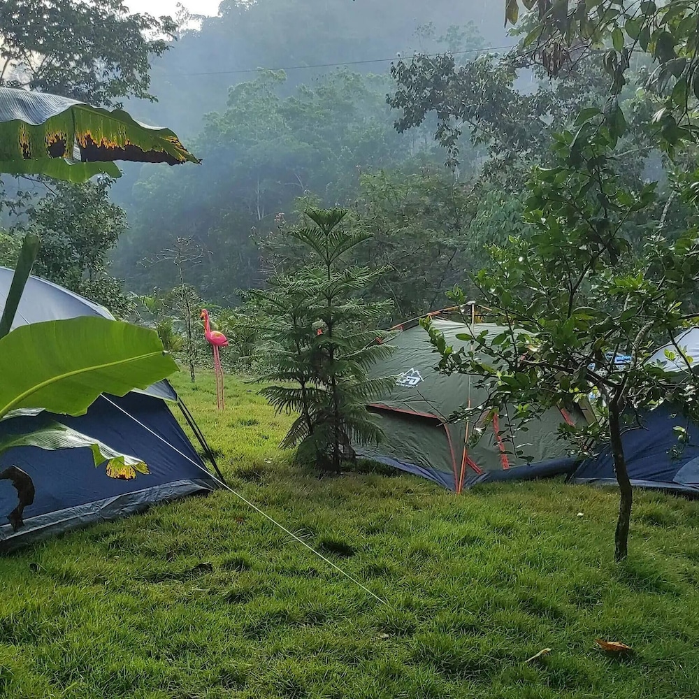 Lechuza River Campingcamping House - hotel in Carr. Santana, Los Cacaos