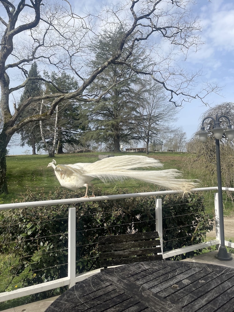 Domaine des Peyries photo 4