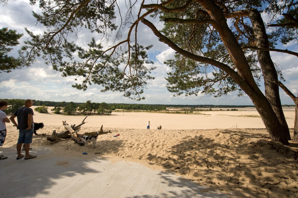 Holidaypark Duinhoeve