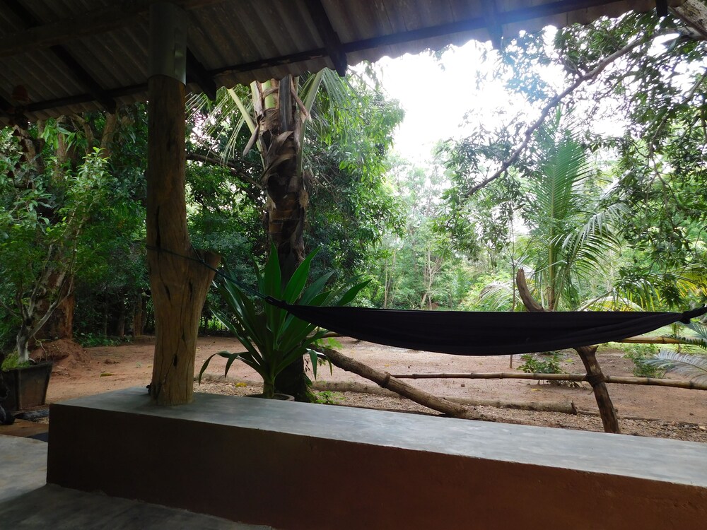 Yala Avian Eye Safari