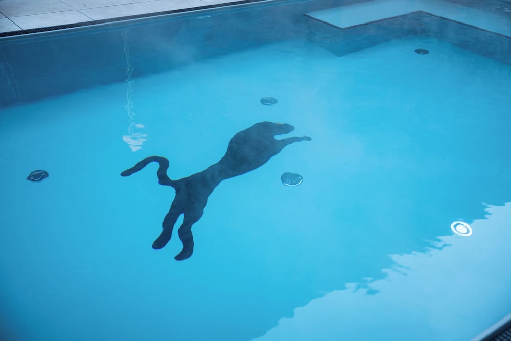 Hotel Panther'A