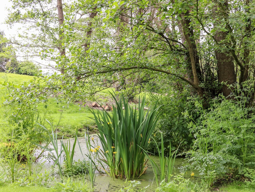 The Snug at Pickelden Farmhouse