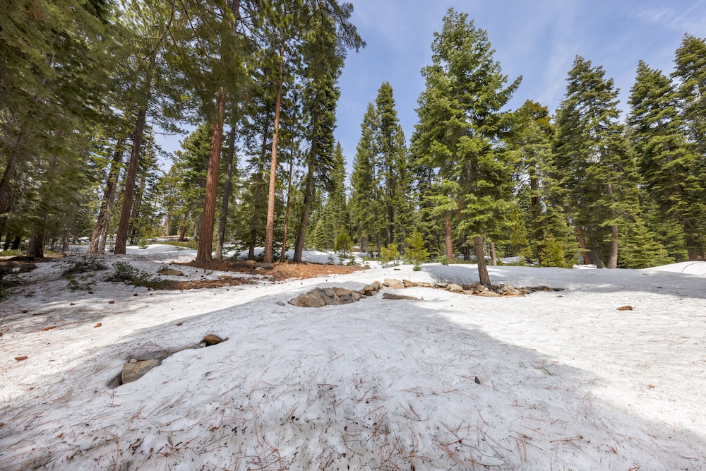 Bright & Modern Cabin Luxury Home in Carnelian Bay! view 4