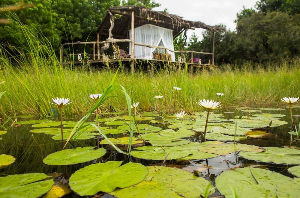 Selinda Camp