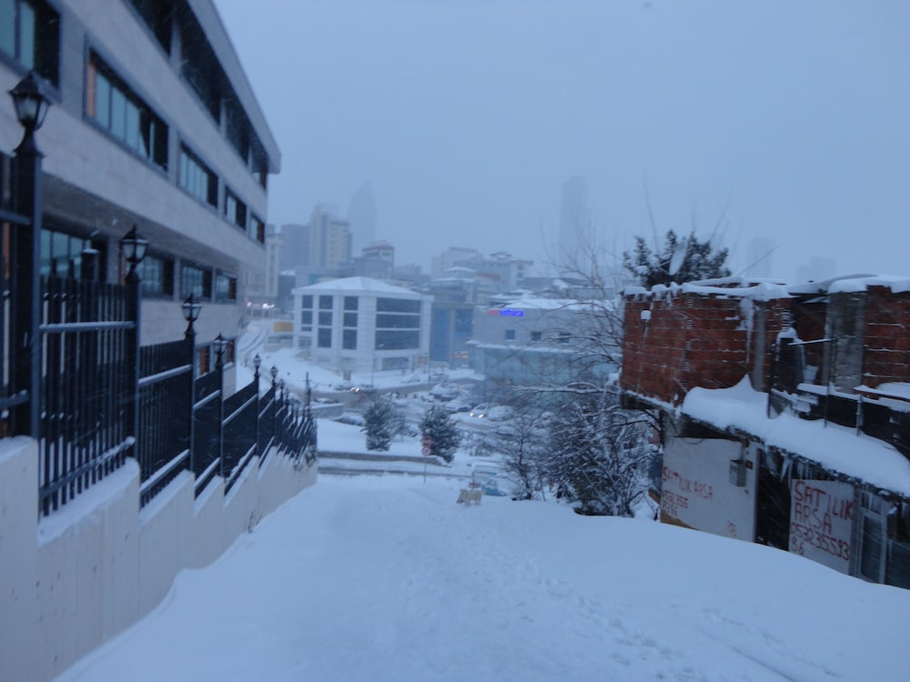 Artura Süit - Image 29