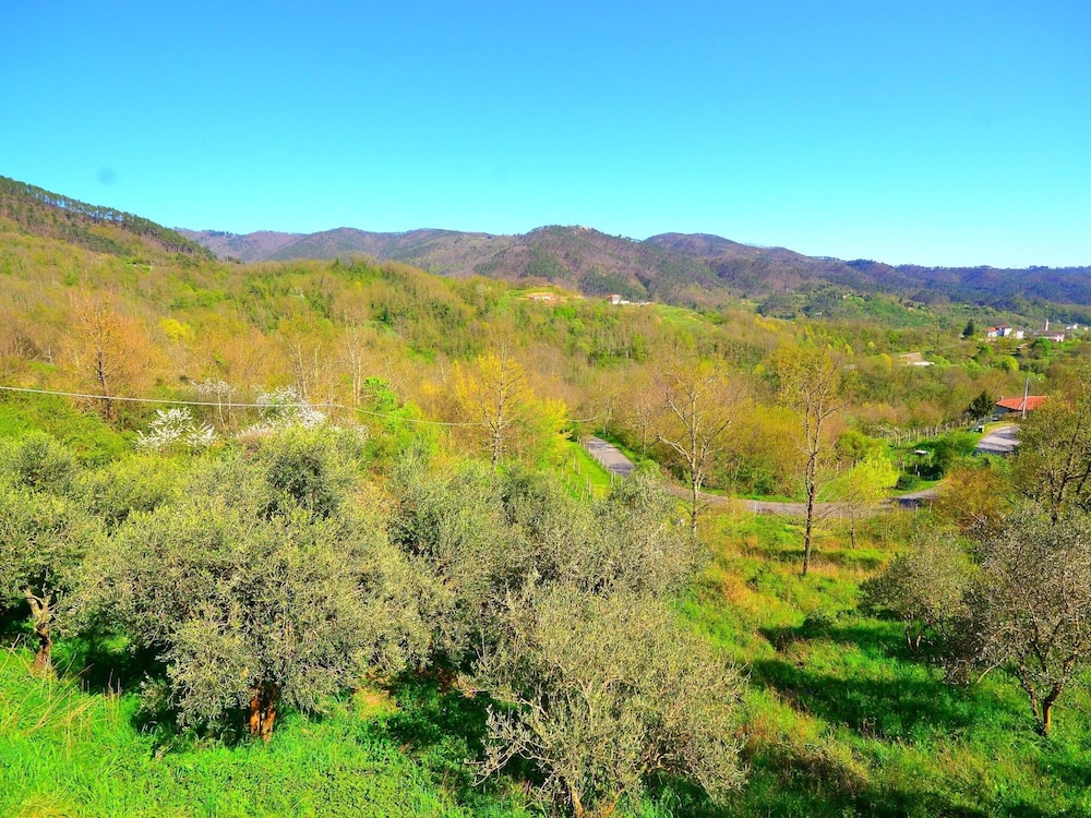 Spacious Home Surrounded by Nature view 5