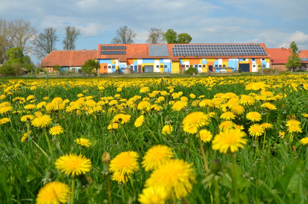 Kulturhof