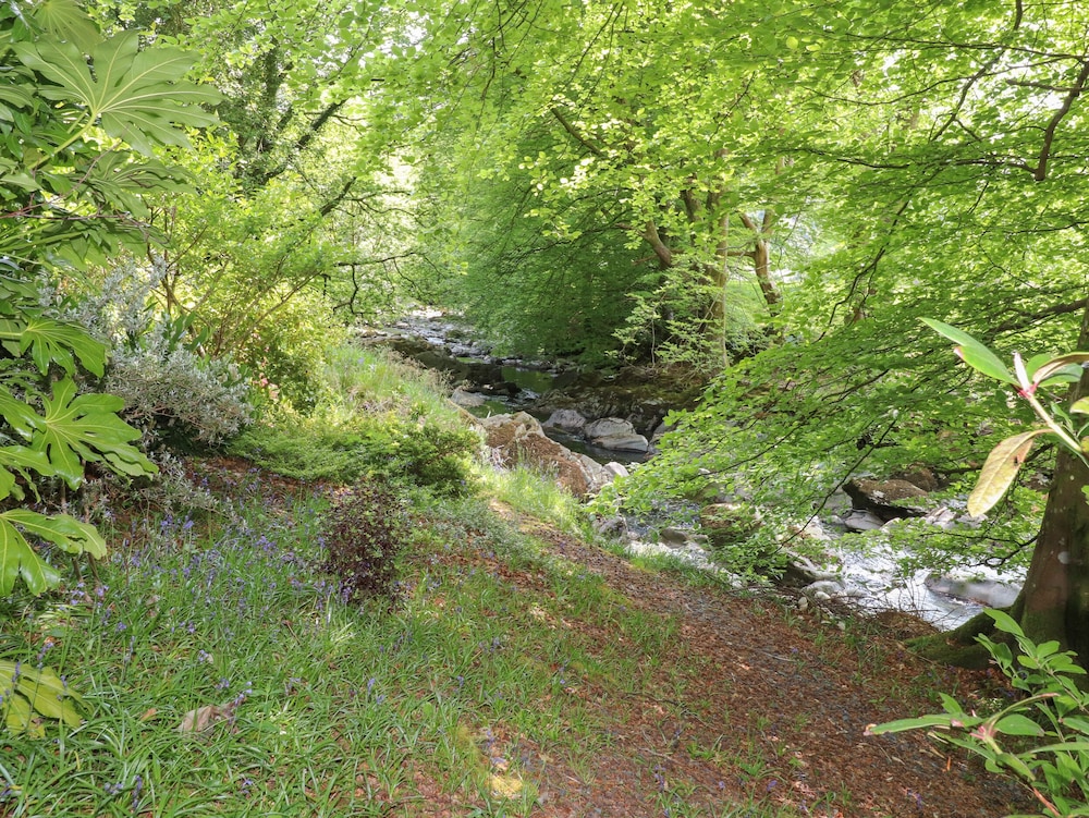 Can Yr Afon