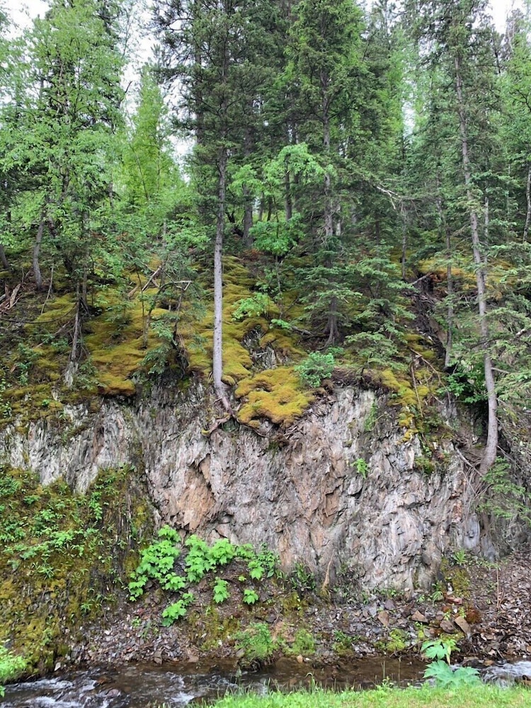 Whitetail Creek Resort