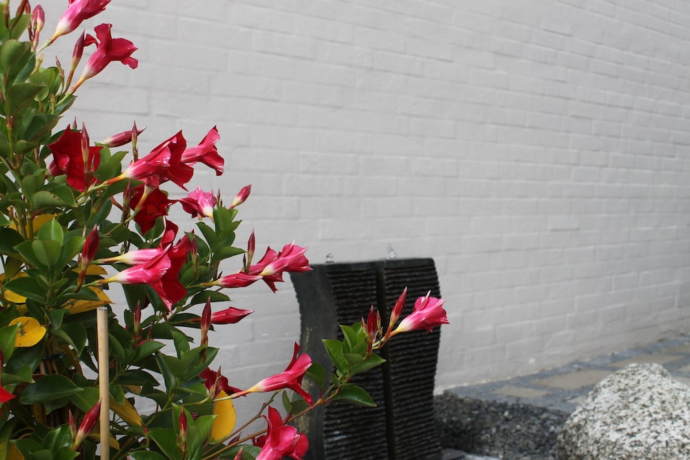 Odense Vacations - Amalie BB Apartments - Property Image 32