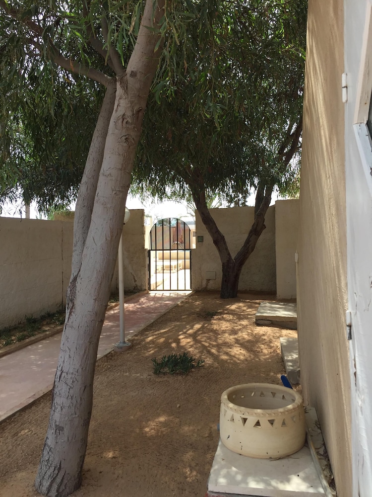 Photo 17