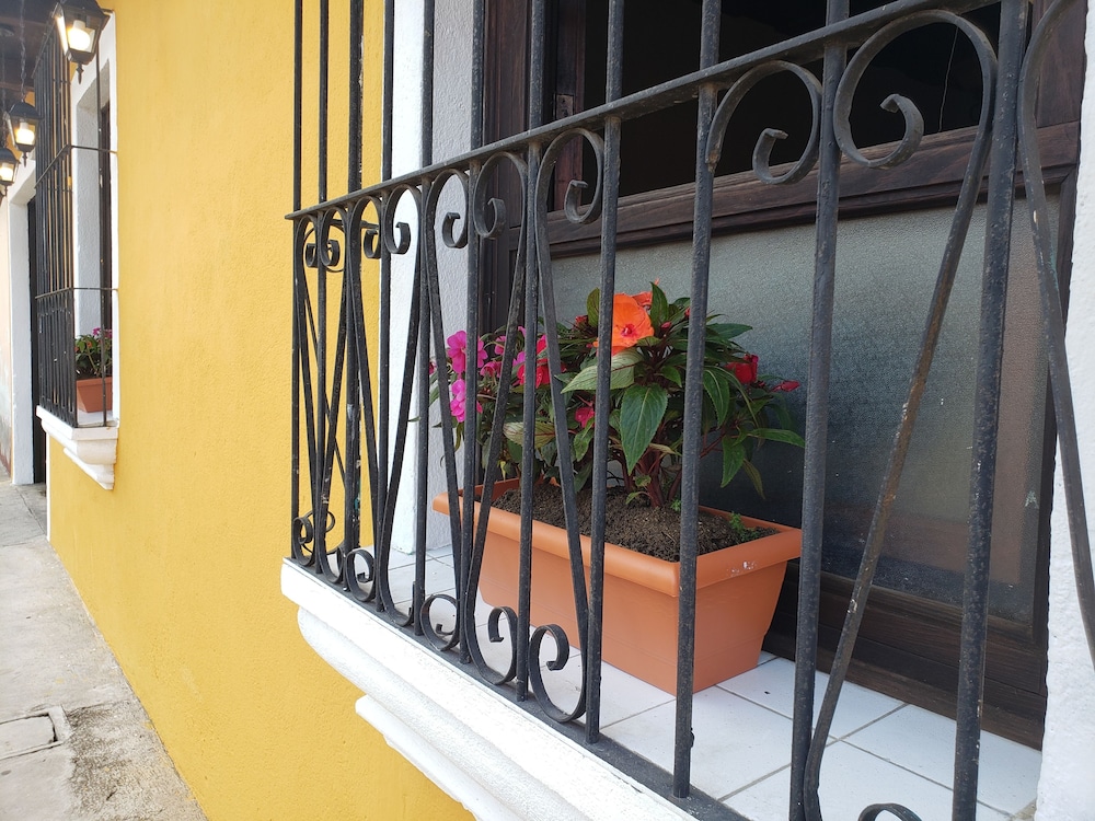 Parrot House view 5
