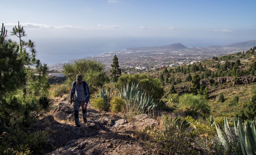 Madre Amada Accommodation Tenerife