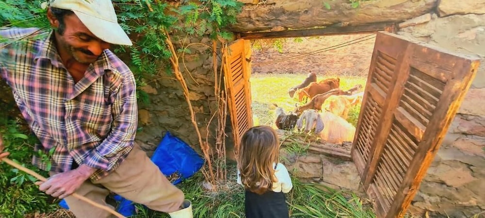 Hotel Nubian Farm - Image 1