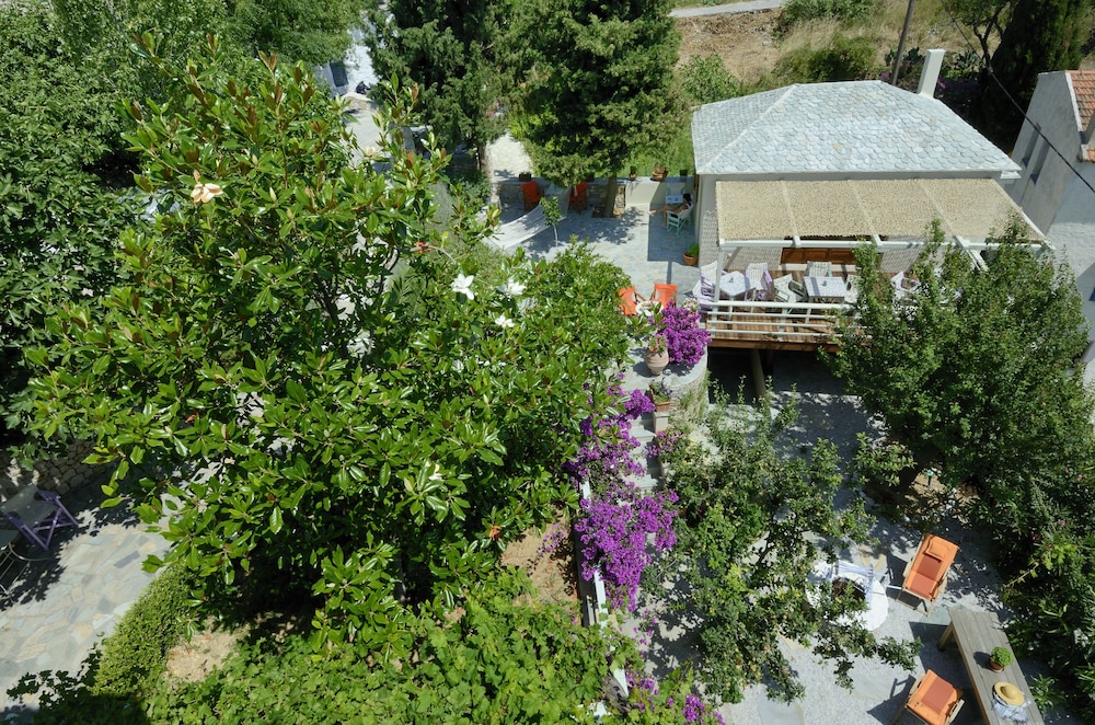 Photo 44