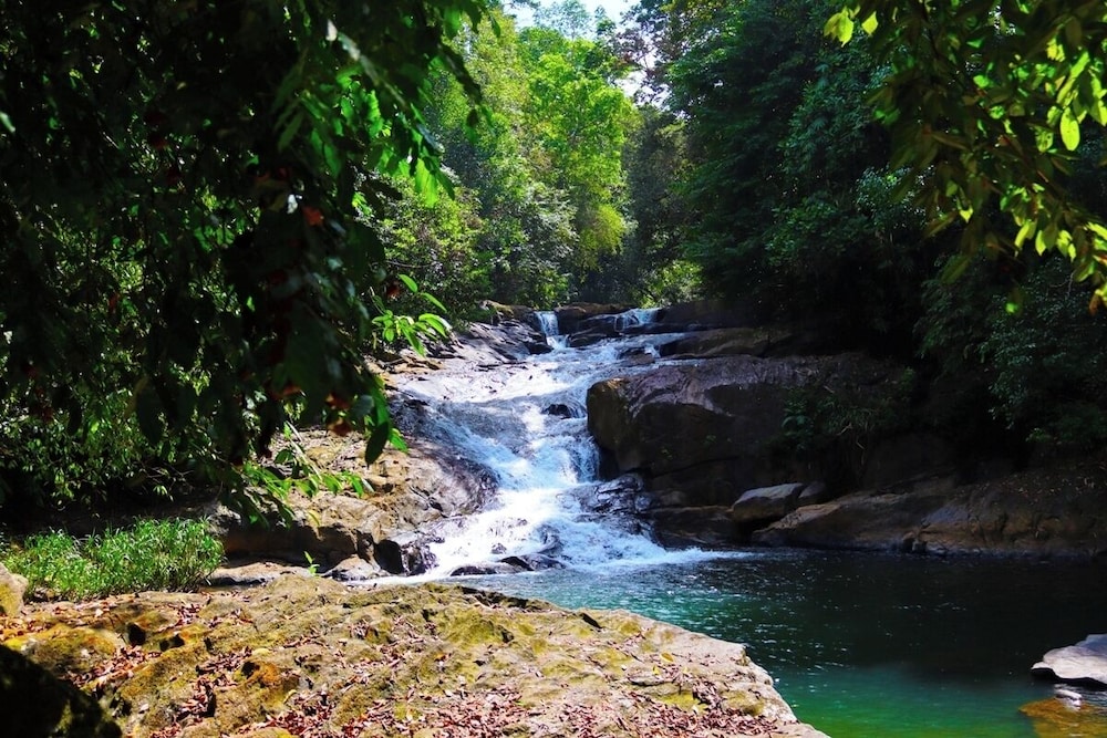 Makeliya Jungle & Waterfall Tour