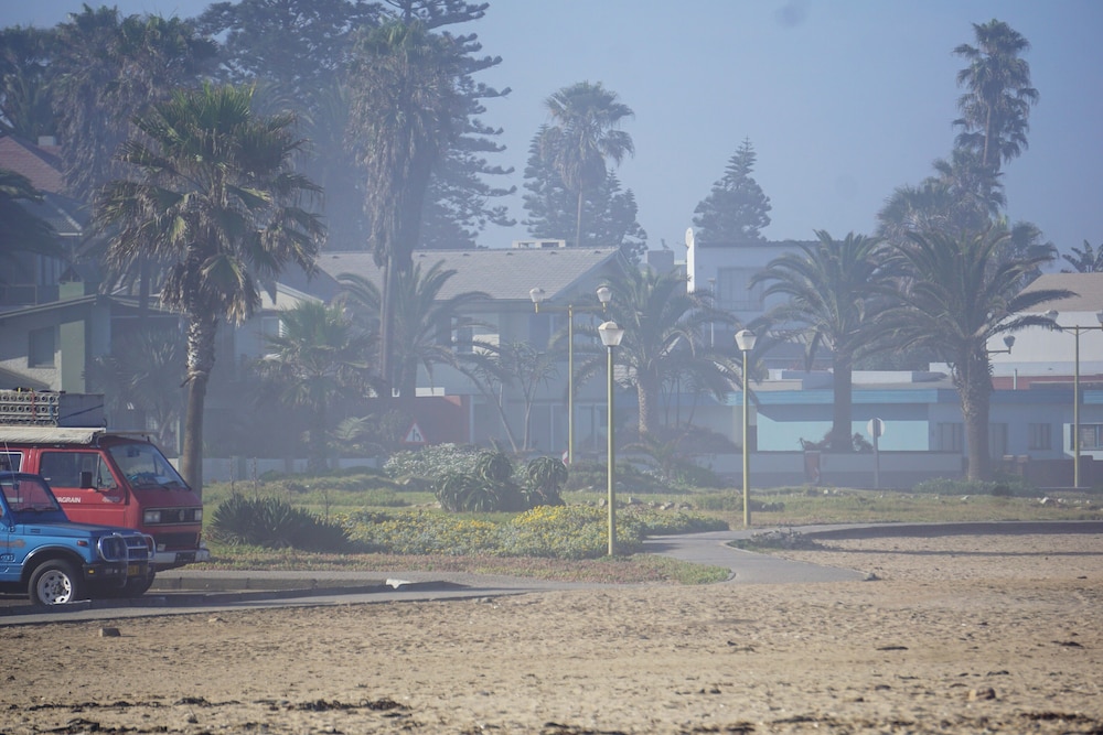 Salty Jackal Surf Camp