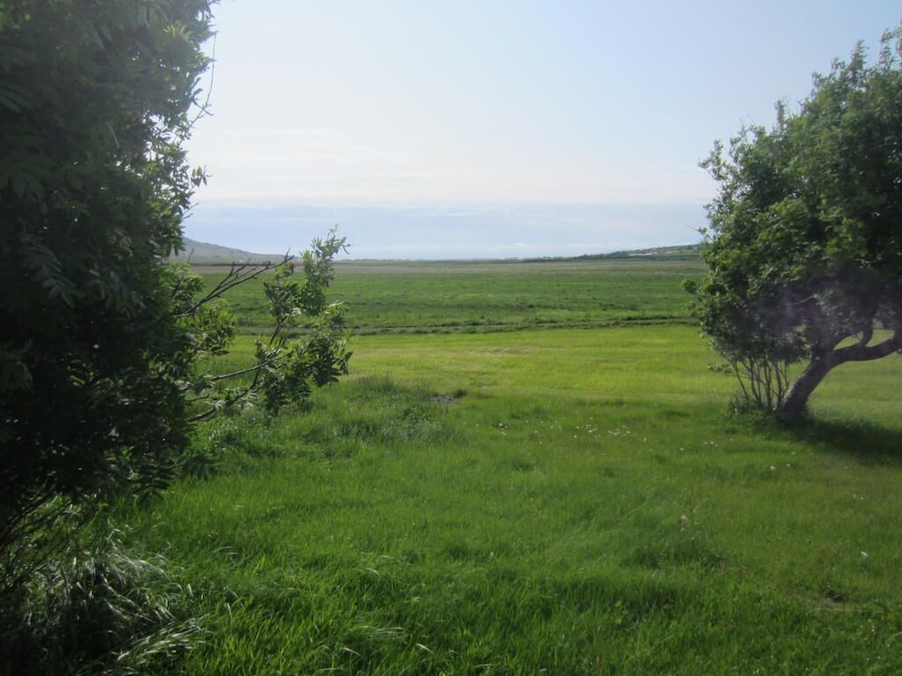 Photo 42