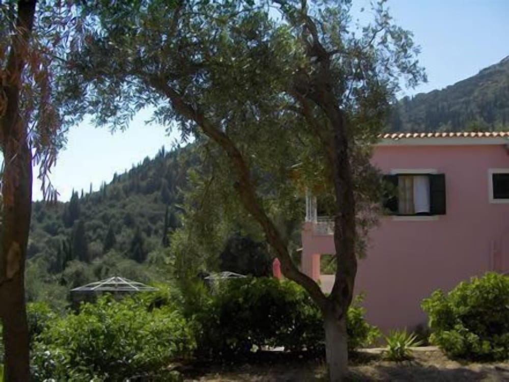 Photo 41