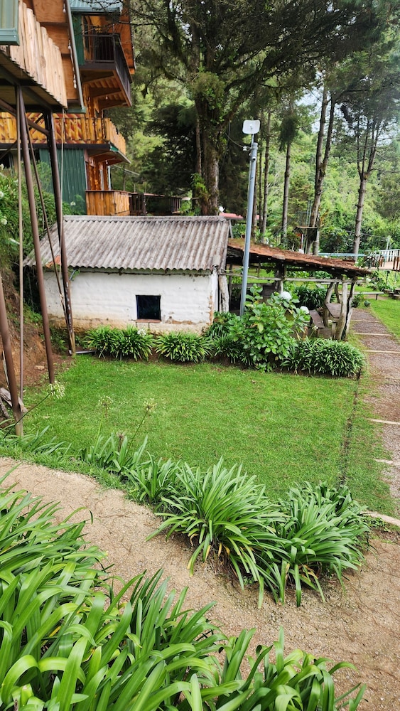 El Pital