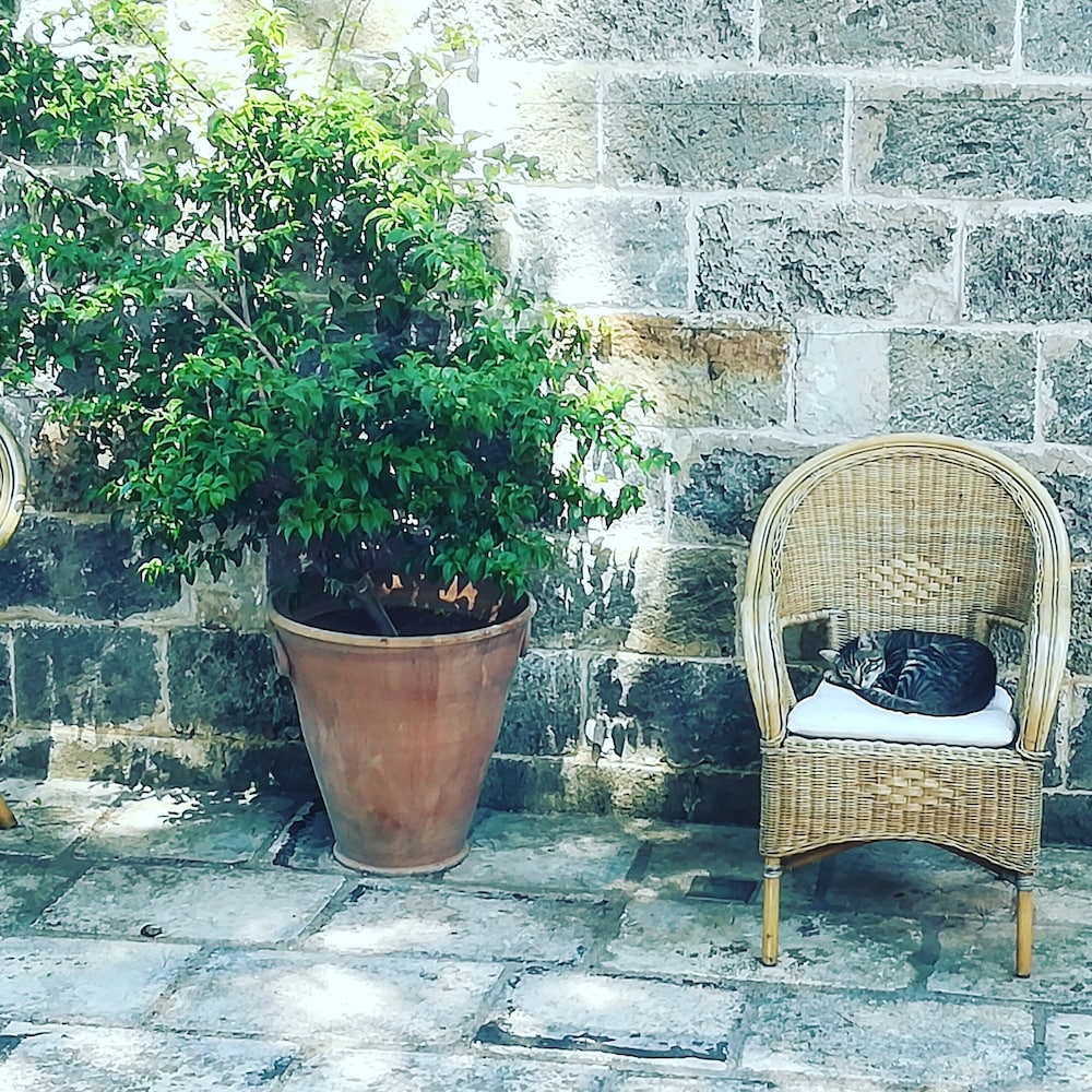 Masseria Fracchicchi