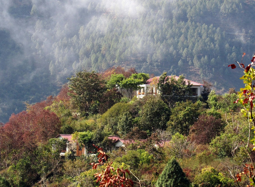 Auranya - The Himalayan jungle retreat view 4