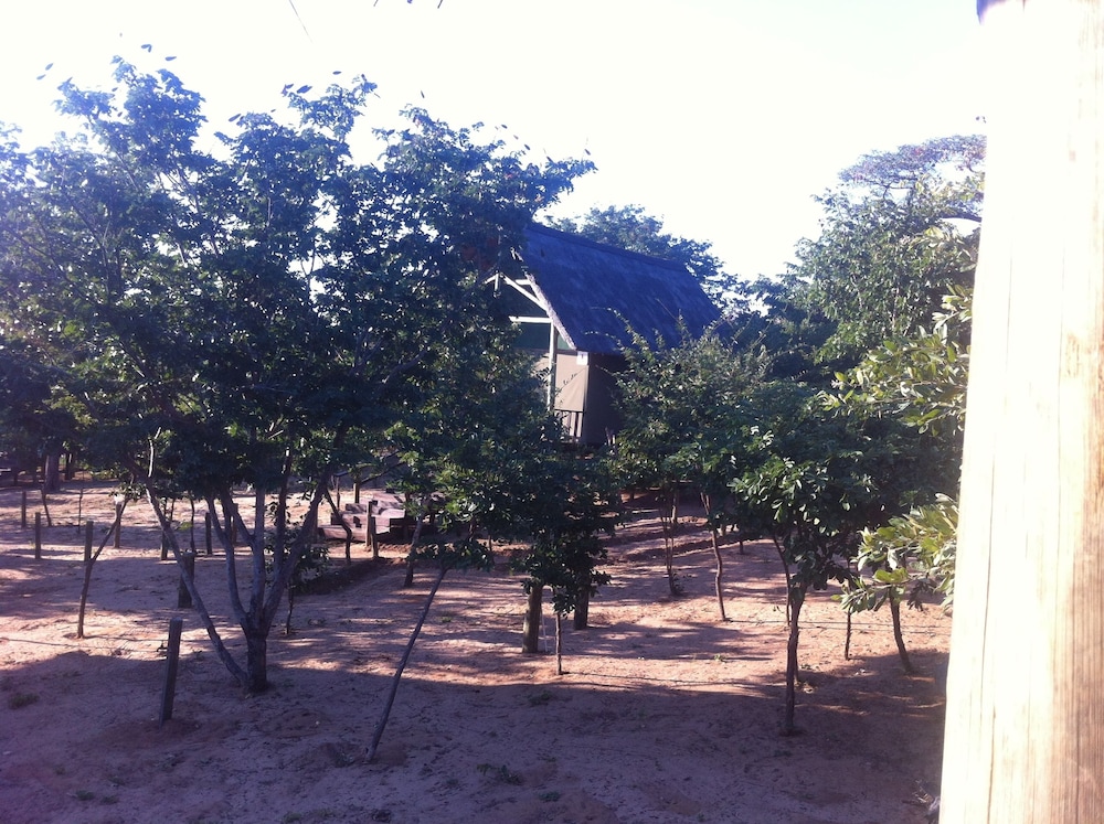 Lion Roars Lodge