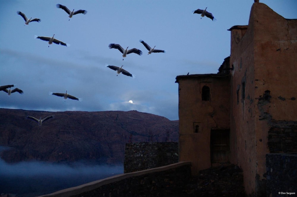 Tizourgane Kasbah