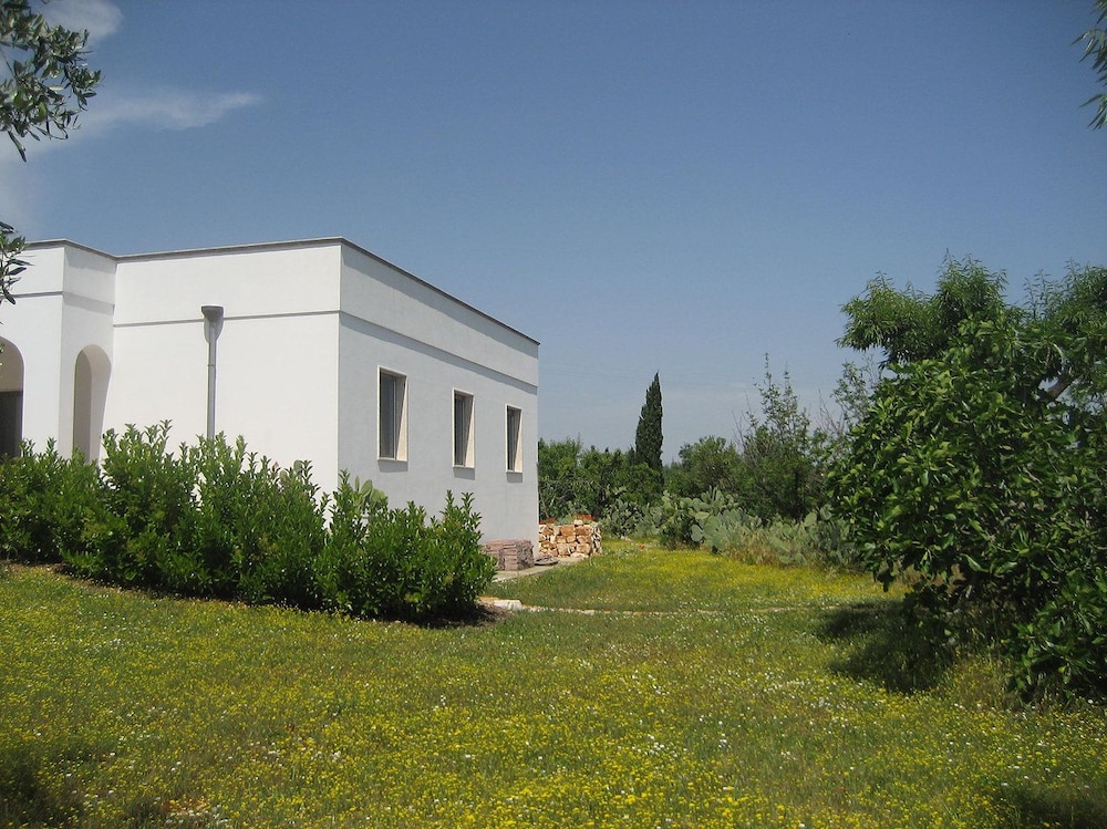Photo 36
