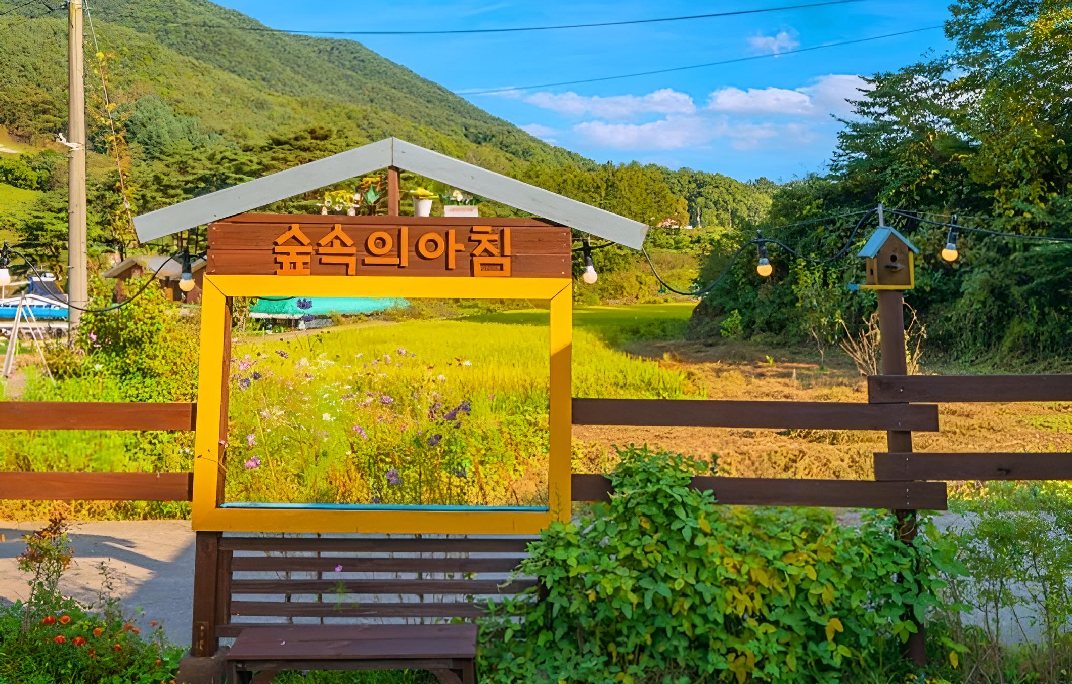 Seongju Morning In the Forest Pension view 3