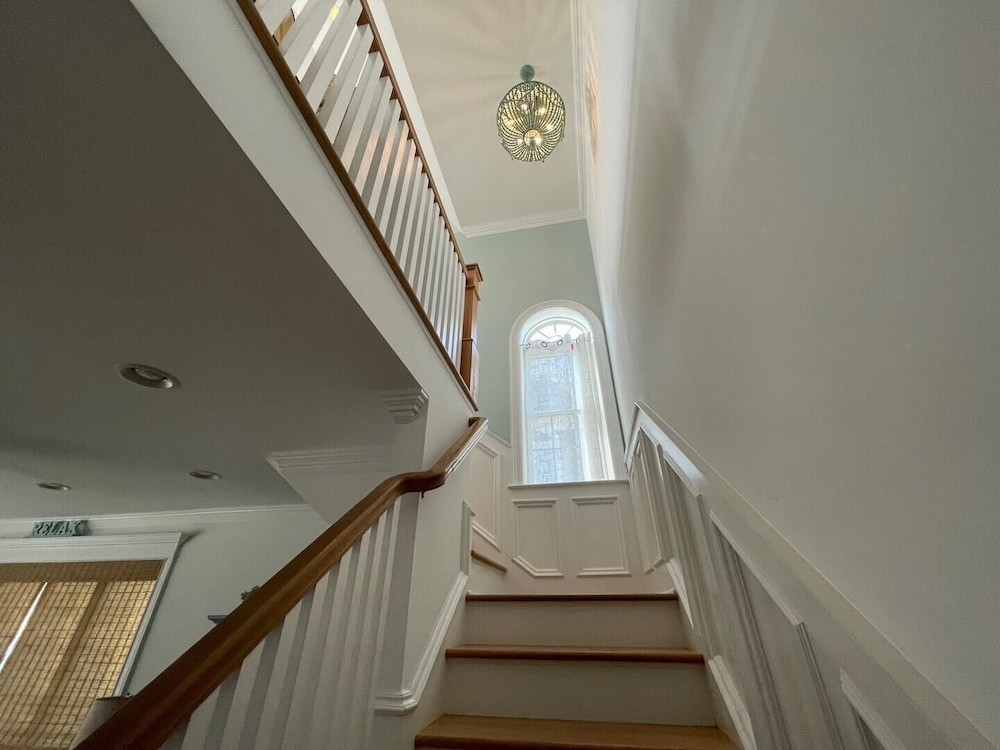 Laurel Street 11