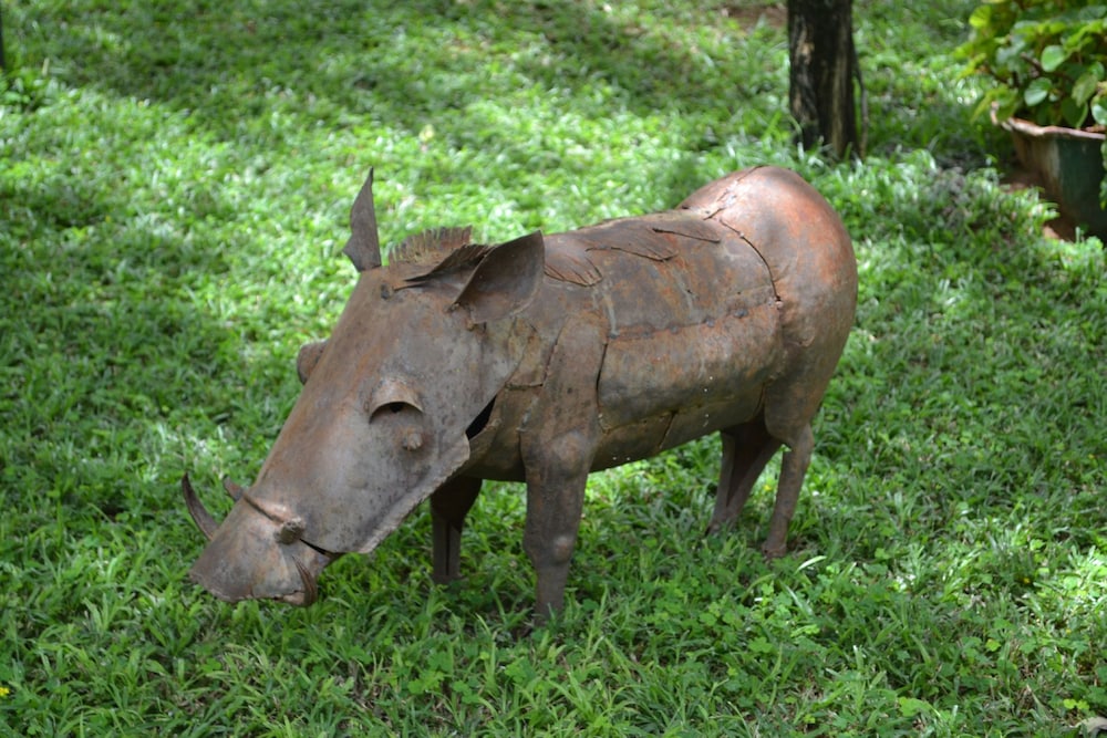 Tambuti Lodge, photo 29