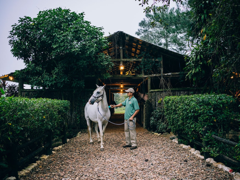 Blancaneaux Lodge by Francis Ford Coppola