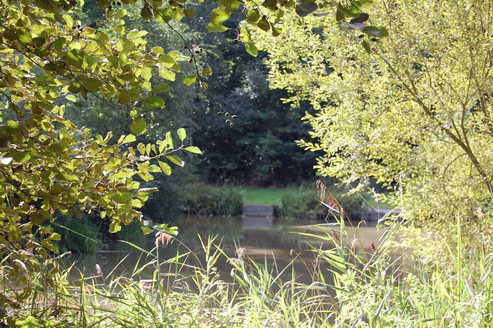 Photo 27