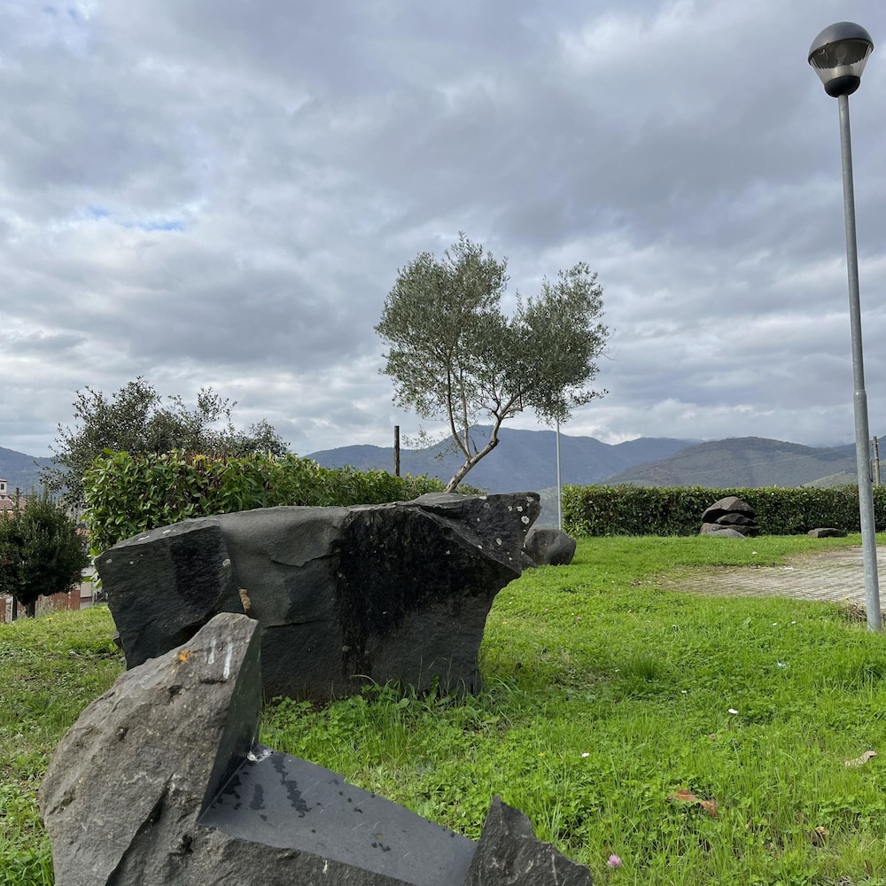 Photo 45