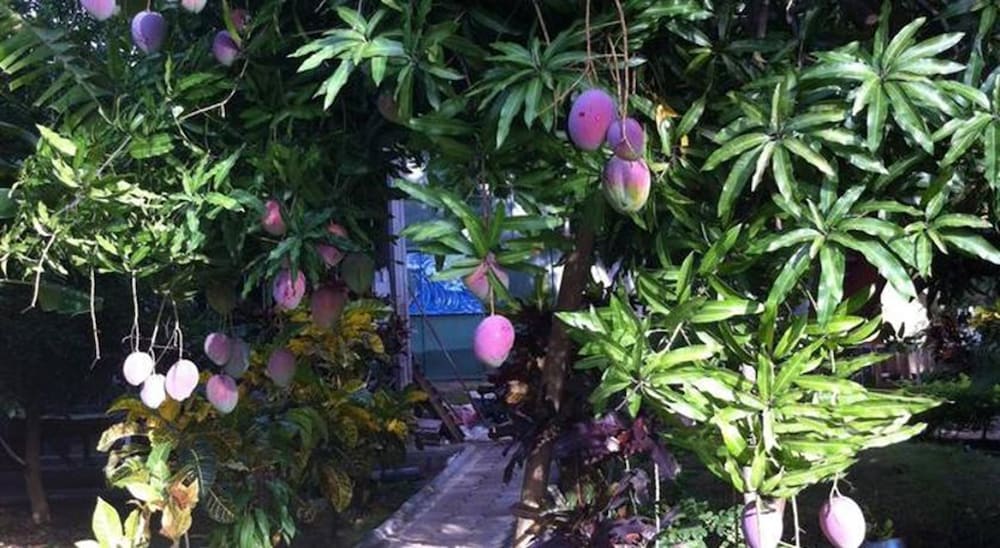 Cabinas Marielos