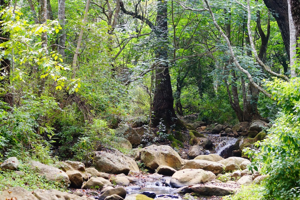 Secret Valley Jungle Resort