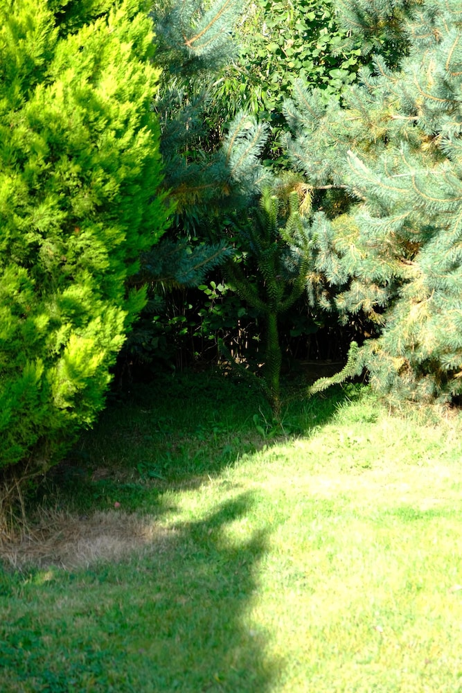 Photo 45