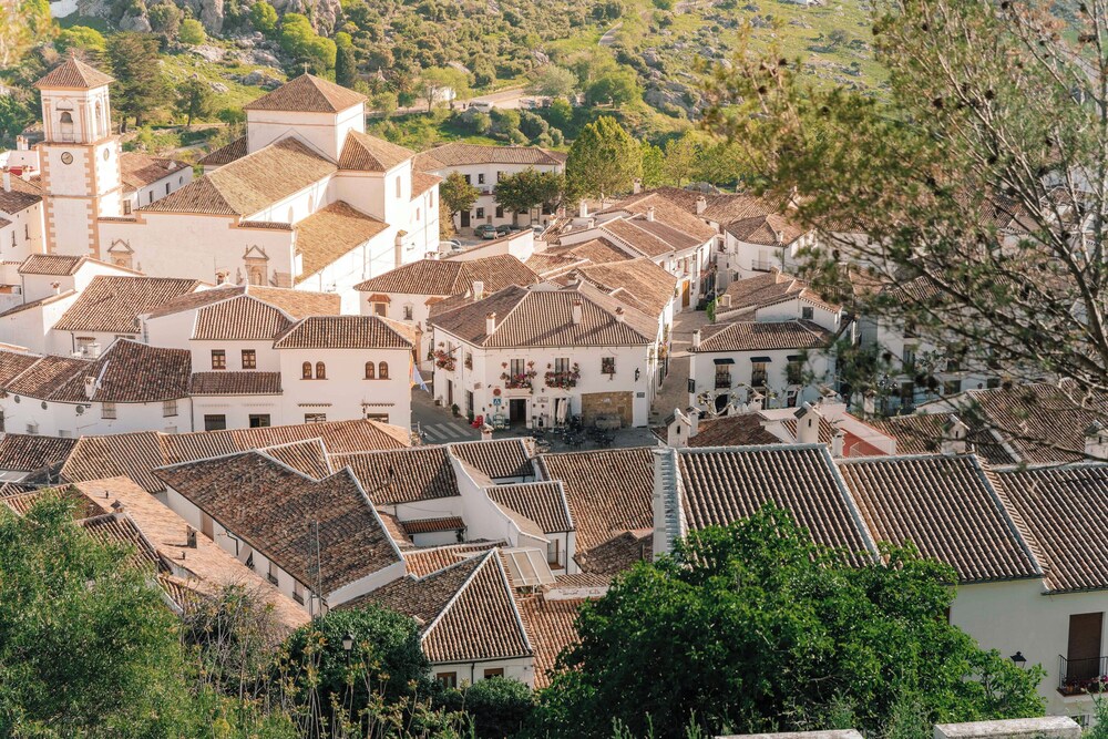Camping Tajo Rodillo