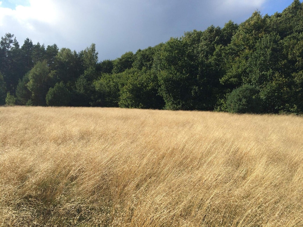 Perfect Family Getaway in Osterlen