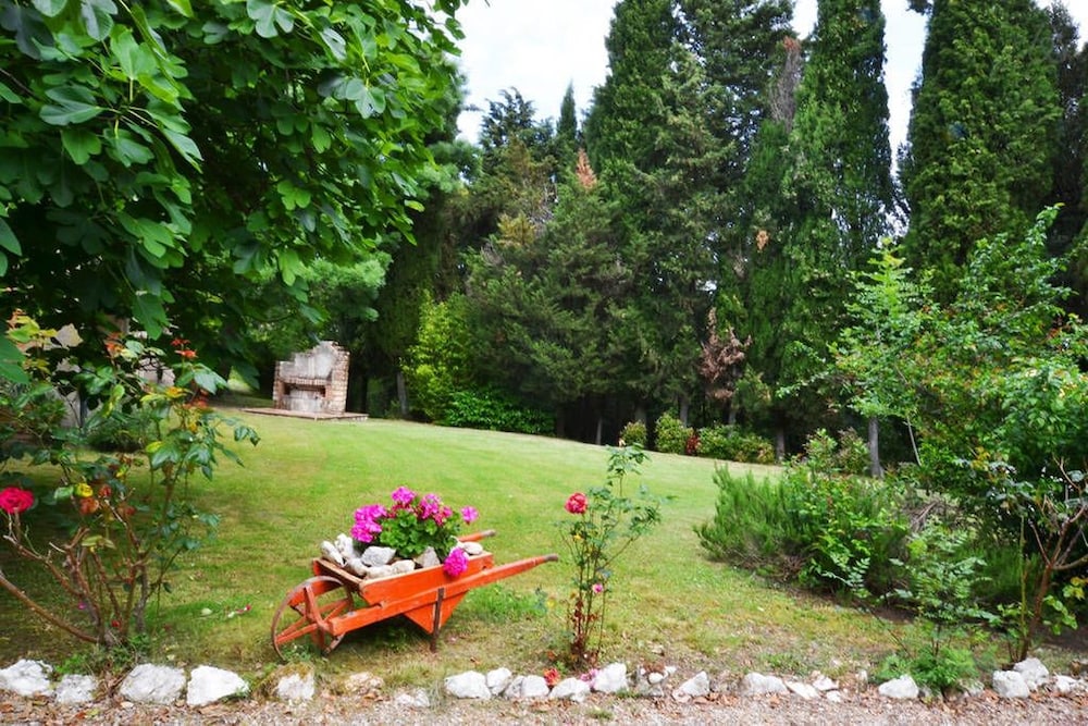 Bellavista farm of Quercini Maurizio
