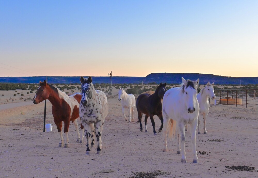 Photo 71