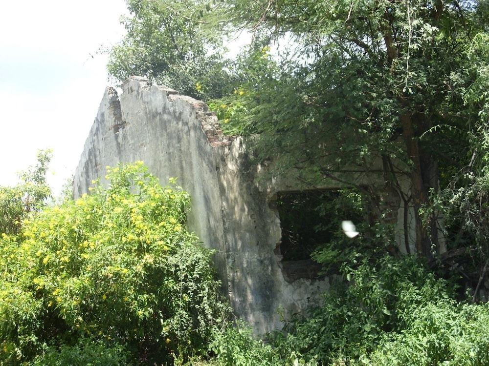 Photo 14
