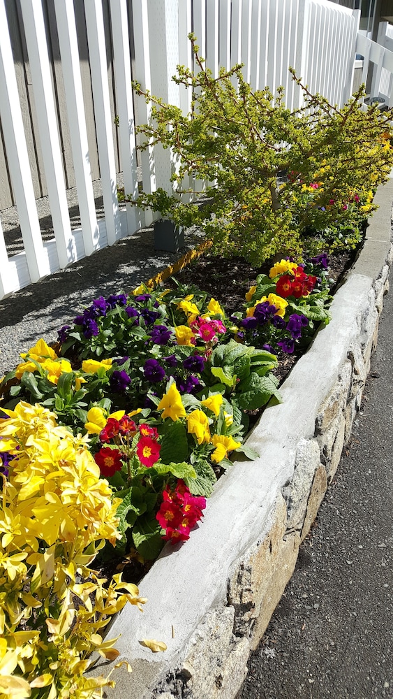The Cedarwood Inn & Suites